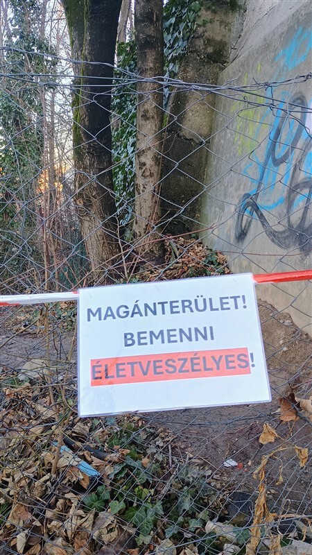 IMG 20250124 153942256 HDR AE 450 x 800