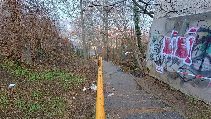 IMG 20250129 083503898 HDR AE 800 x 450