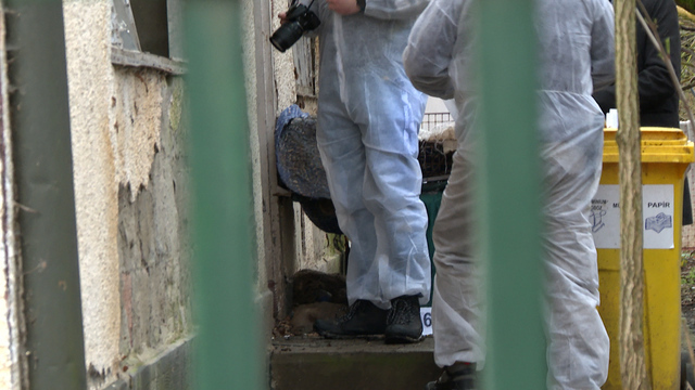 480979762 1171659511634027 1207505737898294151 n