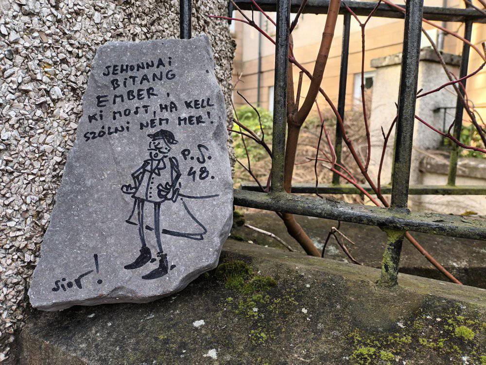 481454034 1219424956854864 7623034892802033914 n