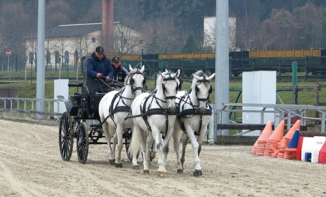 486122251 1072349224924353 8387746116799012479 n