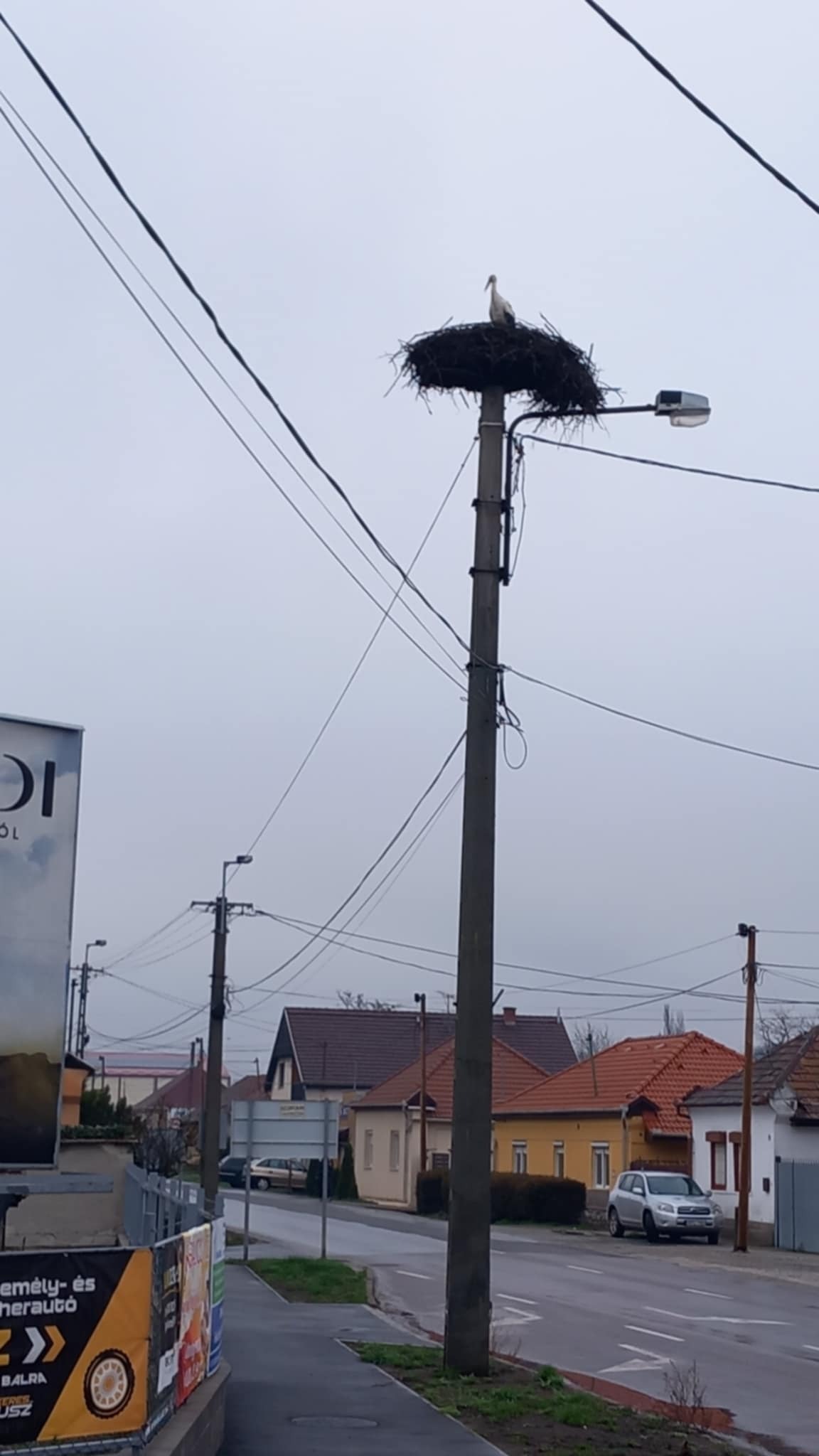 486555458 9466077713461318 8601918769667731063 n