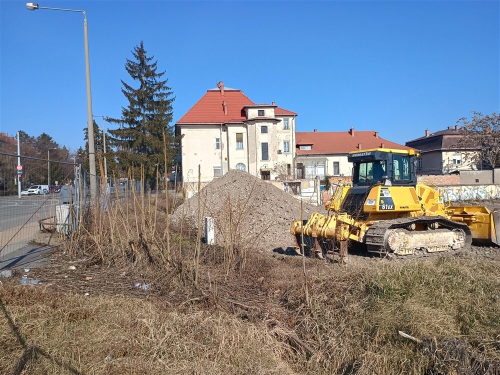 IMG 20250308 093718911 HDR