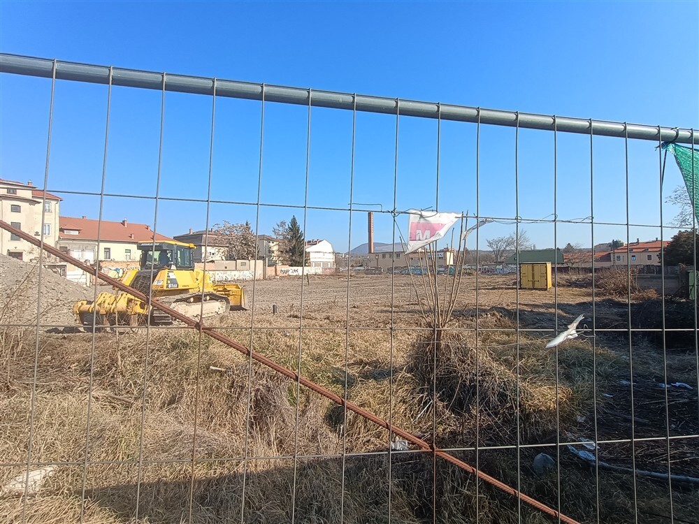 IMG 20250308 093729793