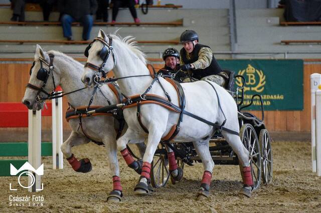 489024643 1083610723798203 269175667846659926 n