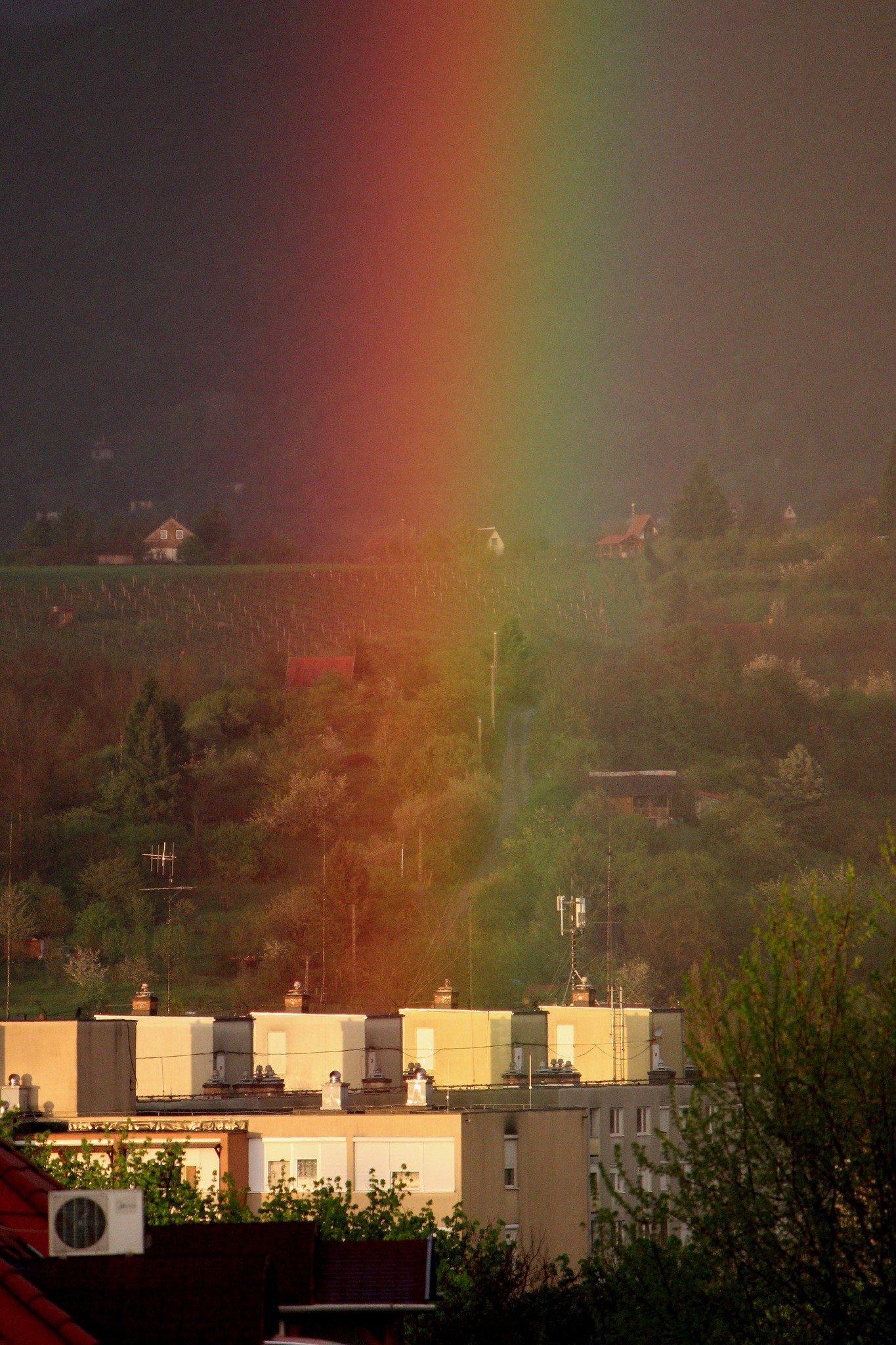 491992059 29030855473228731 1195182164238368072 n