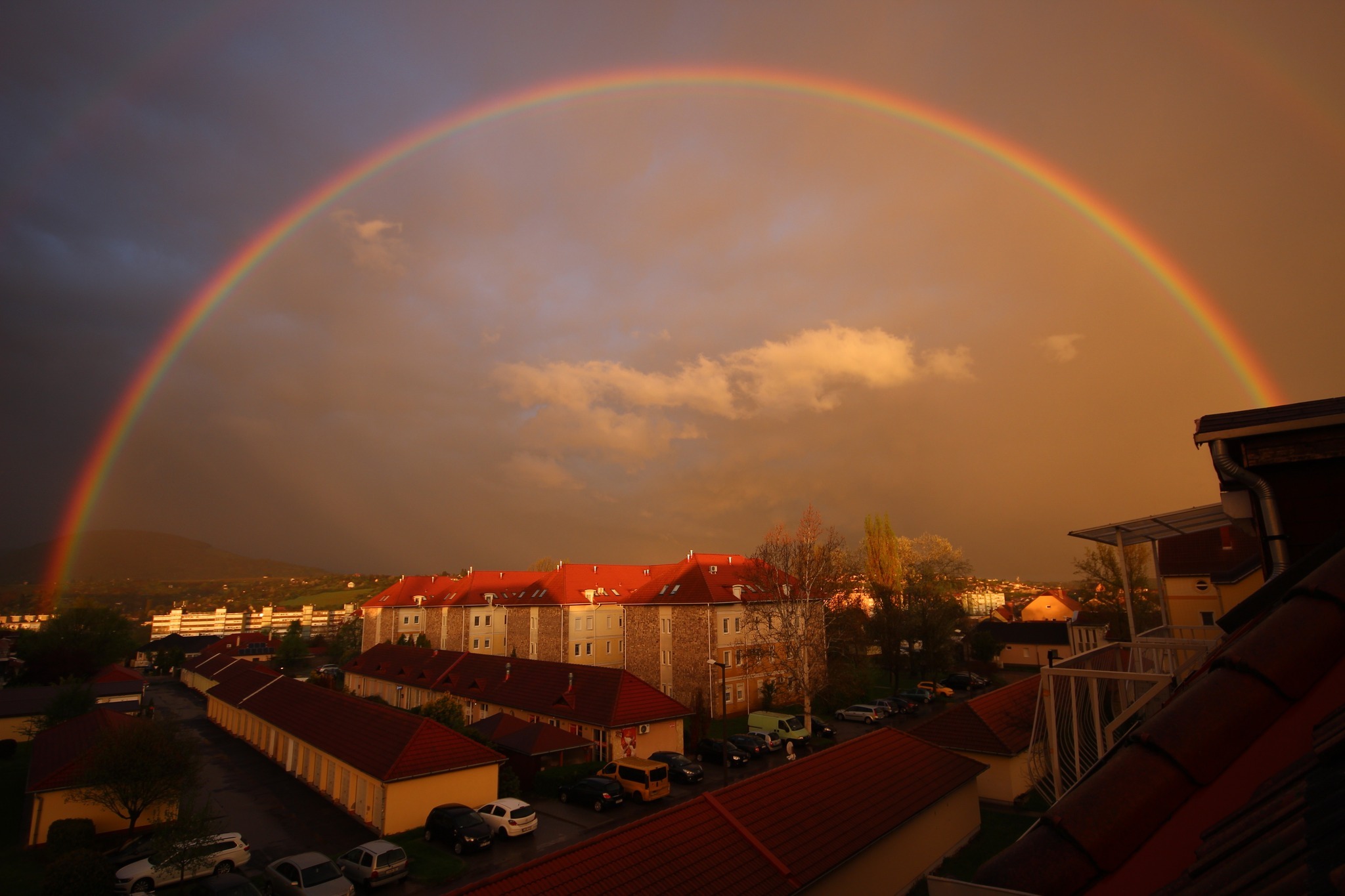 492309392 29030855206562091 6040021736841717573 n