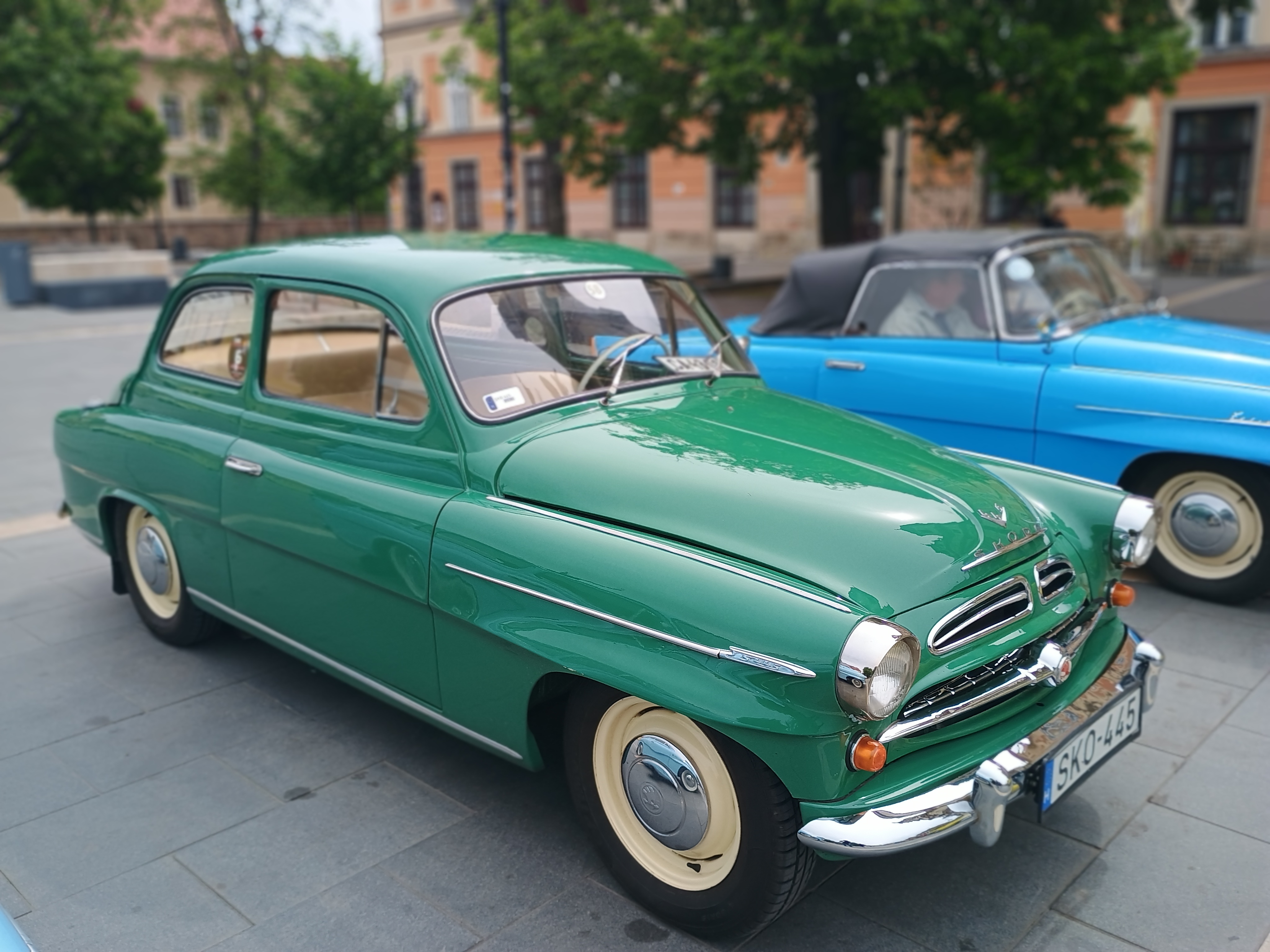 IMG 20250518 103708001 PORTRAIT