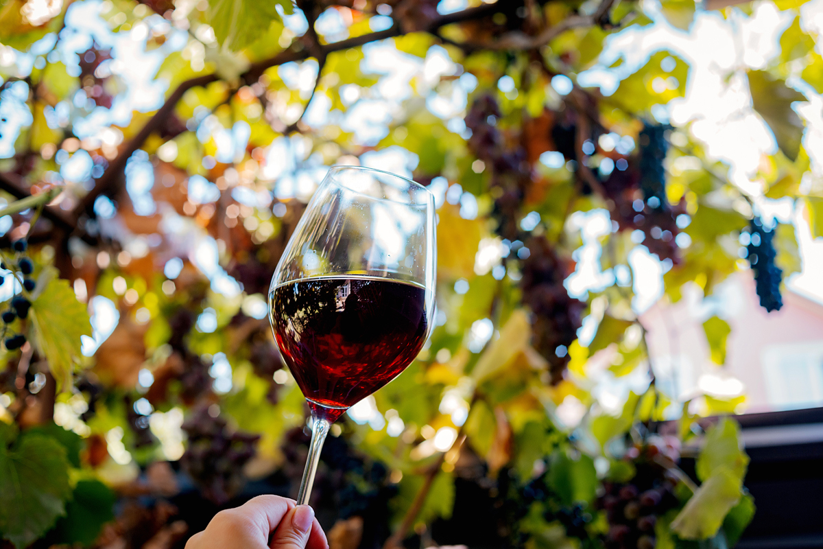 topital blogposzt 1200x800 22.2