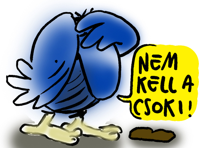 550374378 10163299101160138 6381380418128909384 n