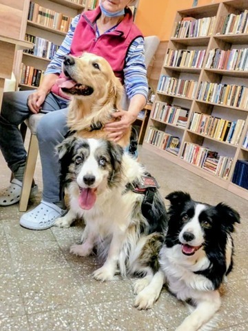 0fa90e6c cc71 4a92 9caa 3b505b632176