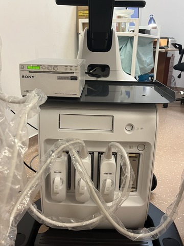 595658324 122274698120238600 1533276085042122156 n