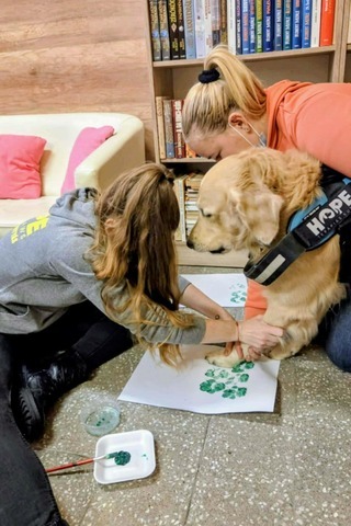 5edd26f8 e47e 4d3c b4b8 97141227493d