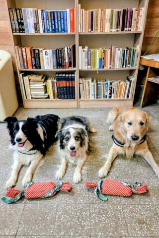 9fd53a51 a312 4348 942d 1a53af4e2182