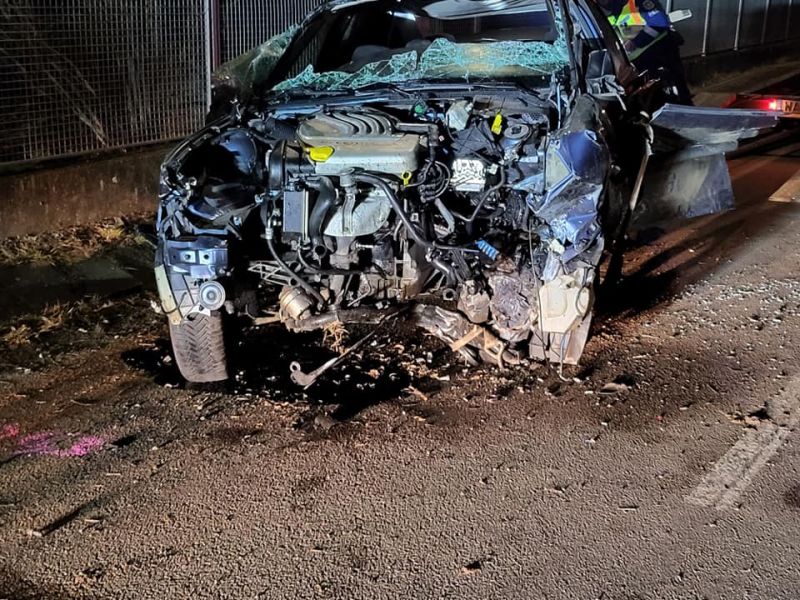 273469543_1193406431189961_3936825143612600037_n