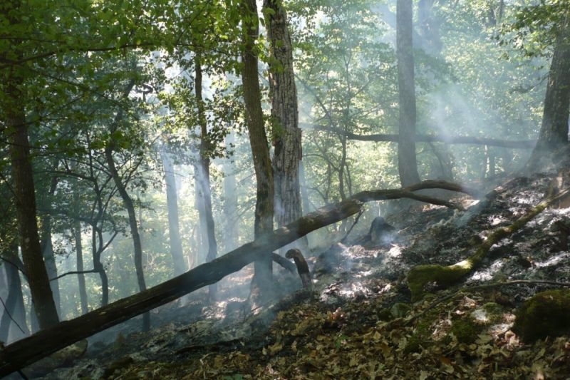 291060110_5610433382299978_7732075978041887696_n