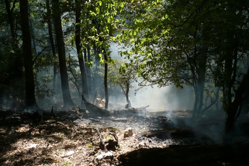 291267233_5610433448966638_217619629930398820_n