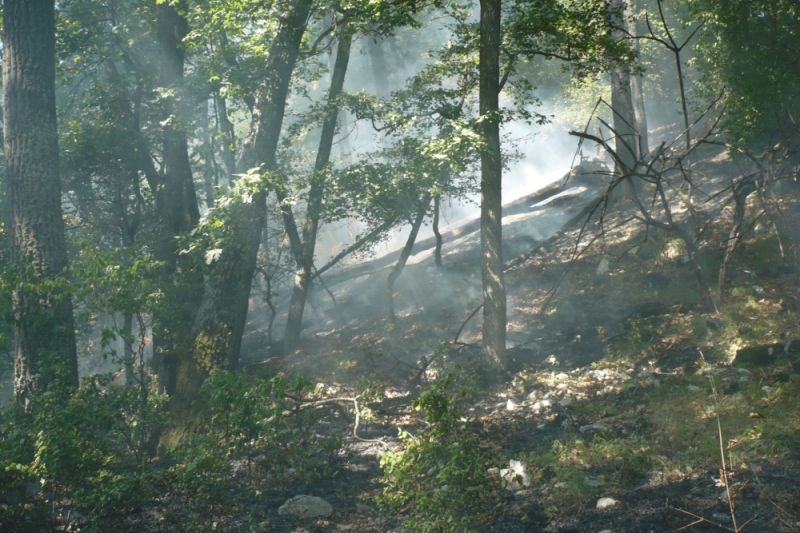 291534460_5610433115633338_6567112117692175634_n