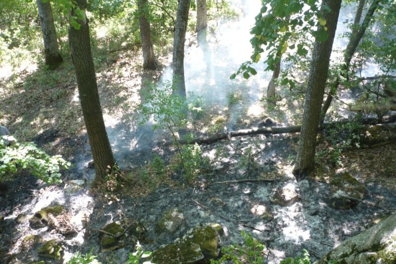 291627697_5610433292299987_5952161488523777676_n