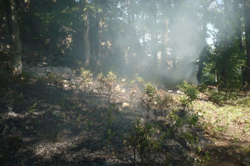 291943963_5610433212299995_2216468351770335187_n