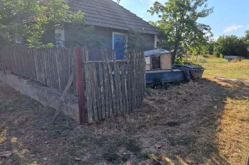 292381833_5309821889065222_3363679940274780185_n