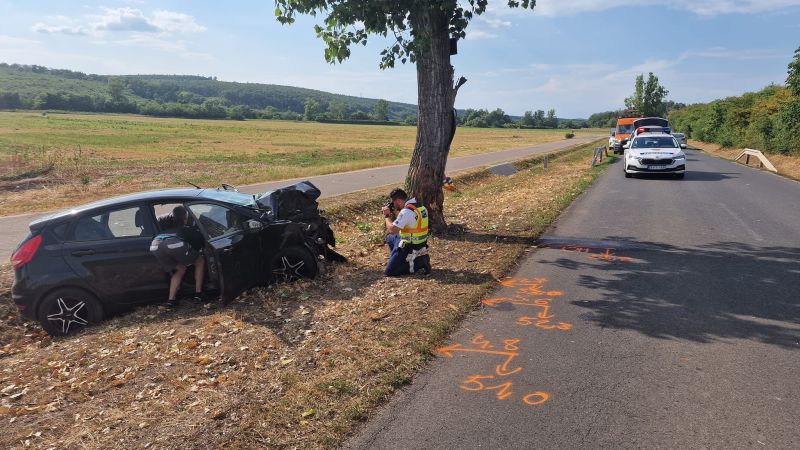 295305705_5351845361529541_8473299918668500555_n