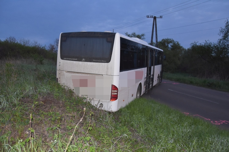 buszweb1LEAD