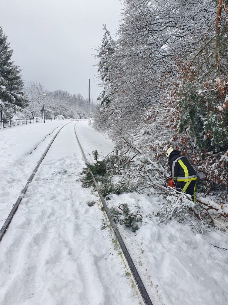 149335712_1092661424531727_293454125372432308_n