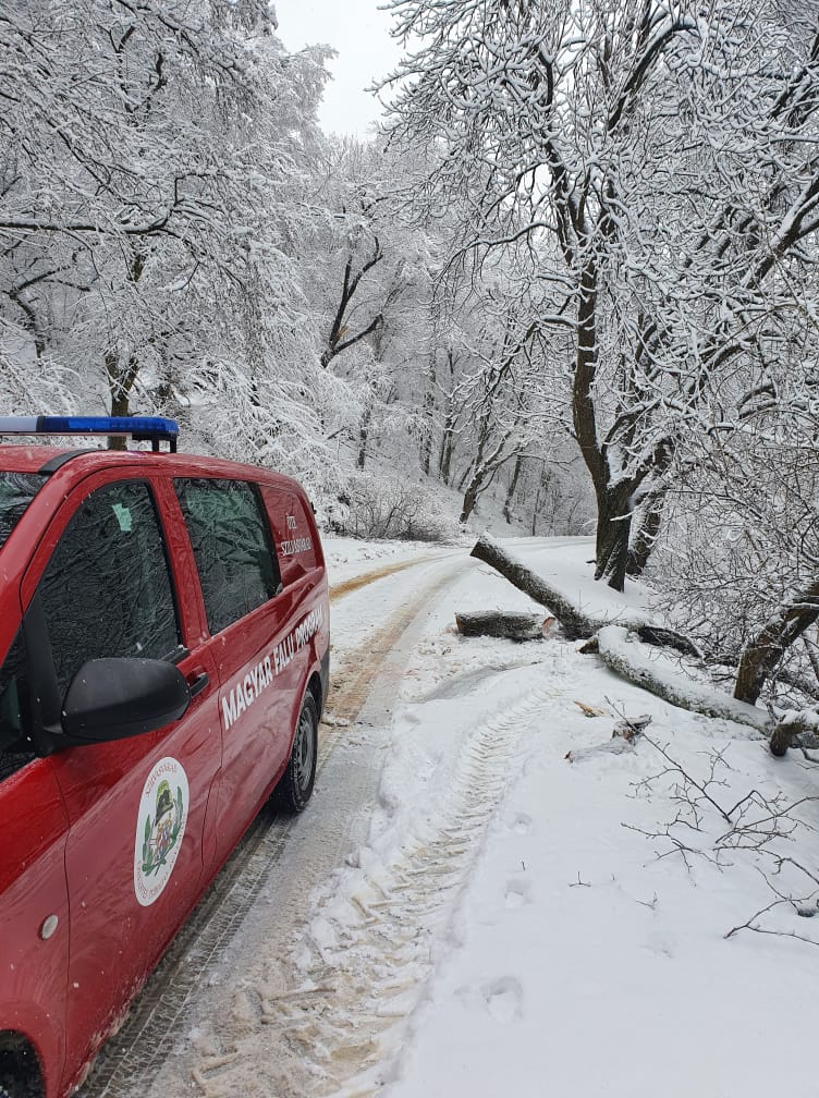 149815617_333446754629678_6431141680812308359_n