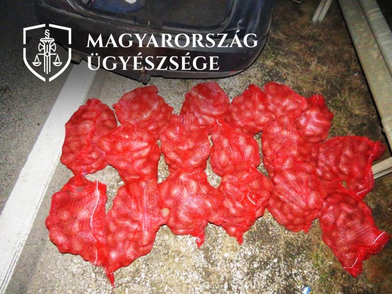 krumpli az autó előtt_logo