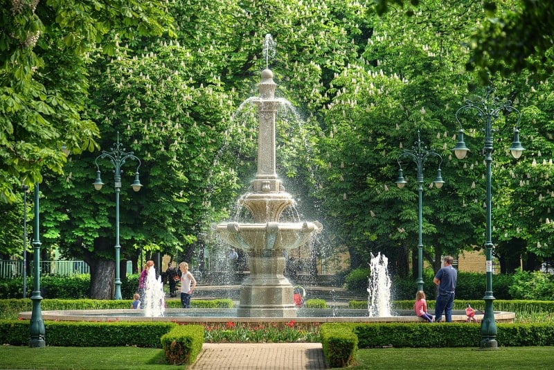 gesztenye-érsekkert--városgondozás-fb