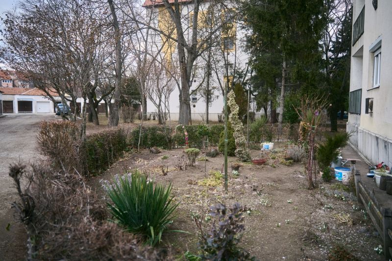 DSC0501043