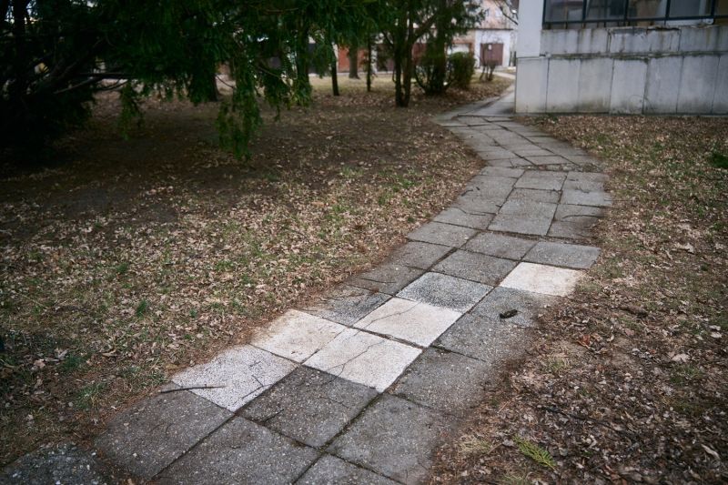 DSC0502253