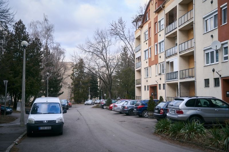DSC0502357