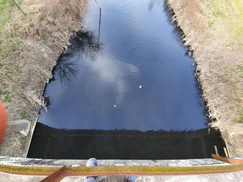 166820842_2657941257848487_3294949241037083518_n