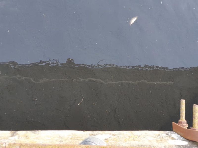 167485265_2657941291181817_2972080044968368612_n