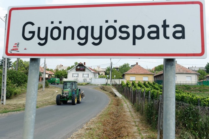 gyöngyöspata-mti-komka-péter