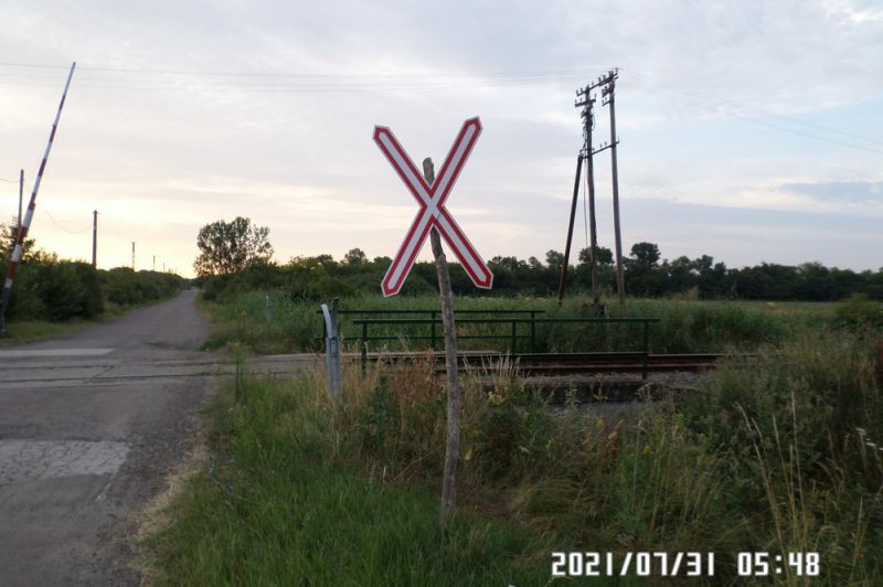 SAM_5271