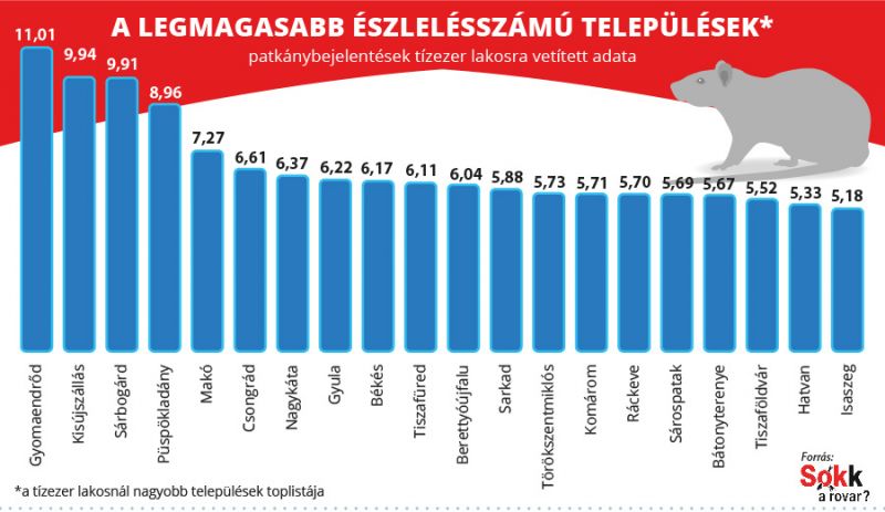 ragcsalok_top20_telepules_patkany