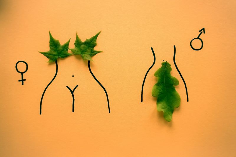 sex-education-udpash