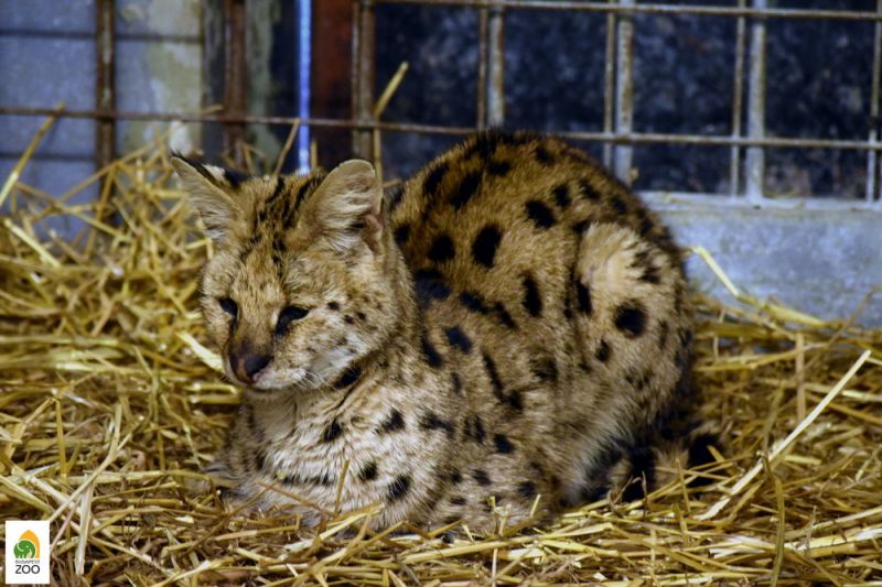 261024996_204770055167037_5623084854325185866_n