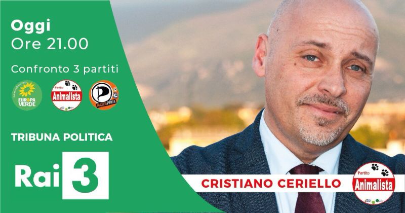 Ceriello