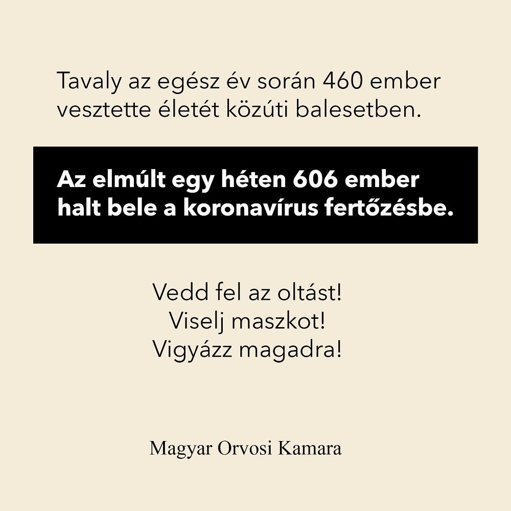 mok-oltás