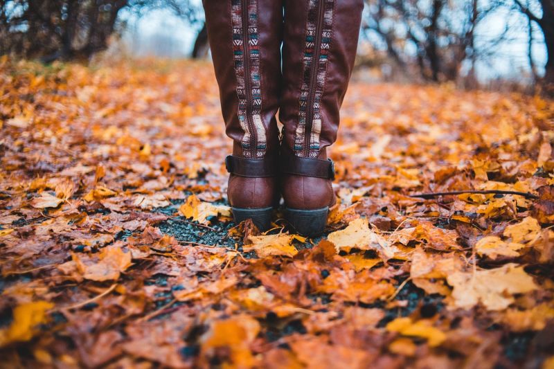 pexels-erik-mclean-4065801