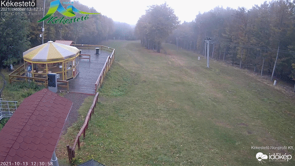 sandor1-hopehely-gif-2021-10-13-13-32-29
