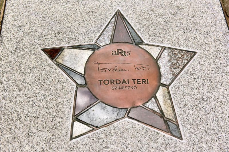 241463798_4305770782810051_5450494648511744609_n