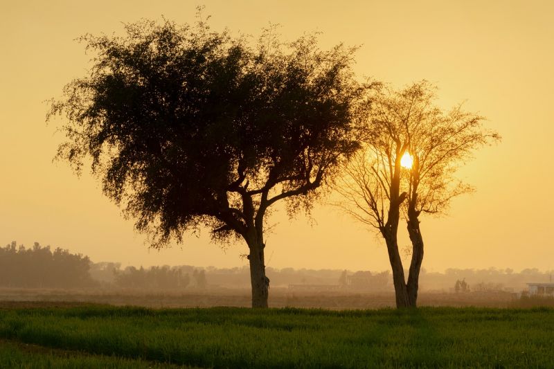 landscape-4980412_1280