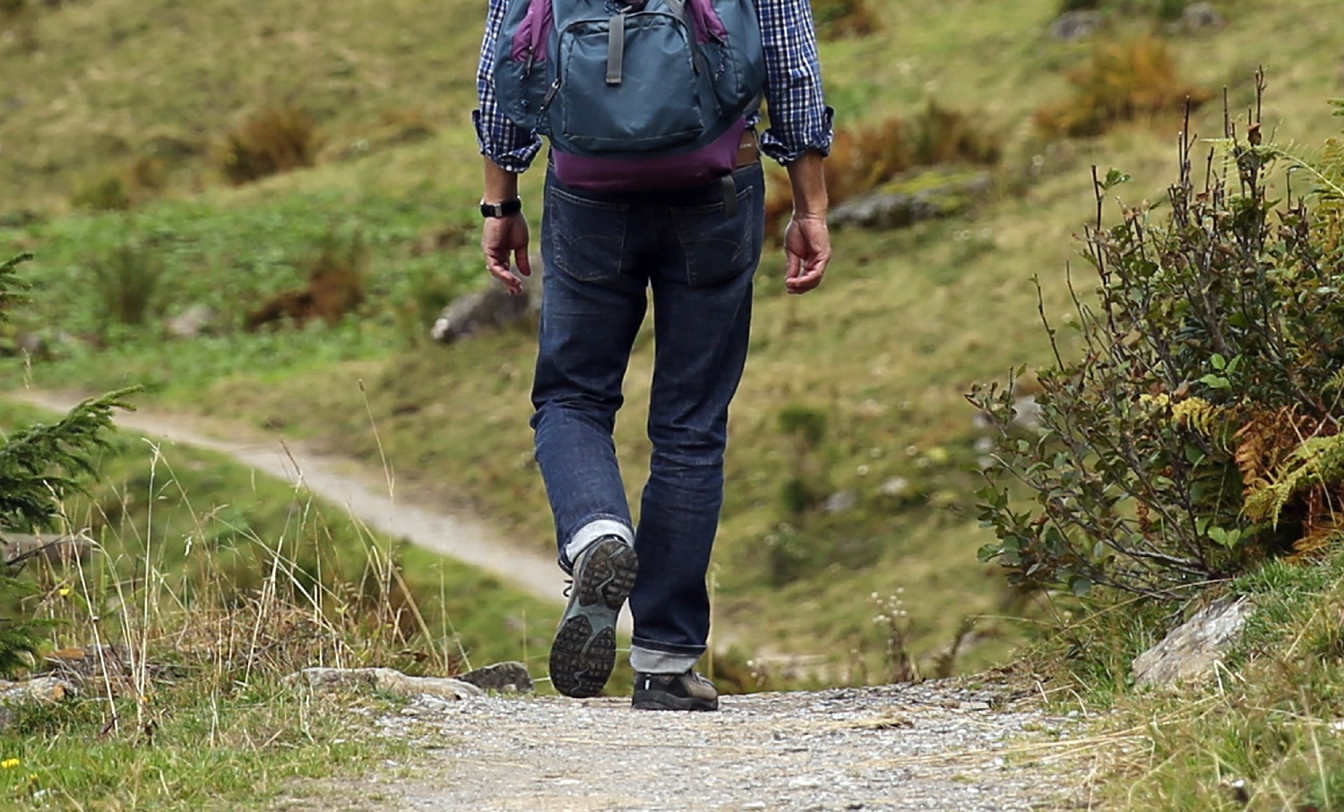 pikrepo-com - túra-