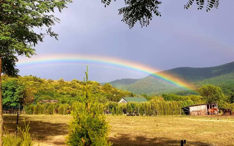 292897674_808169313502815_8505344147713797917_n