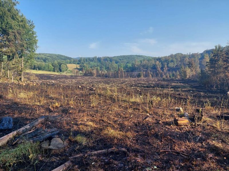 bükki erdőtűz északerdő